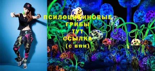 сатива Алексин