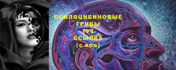 спиды Алексеевка