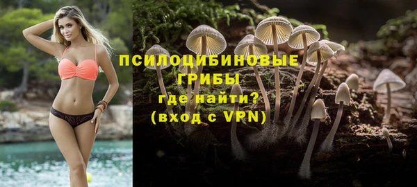 сатива Абинск