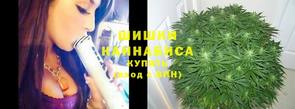 крисы Новокубанск